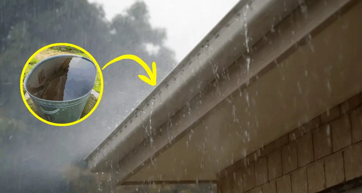 How to Harvest 1000+ Gallons of Water from Your Roof