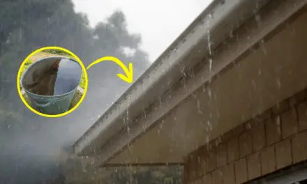 How to Harvest 1000+ Gallons of Water from Your Roof