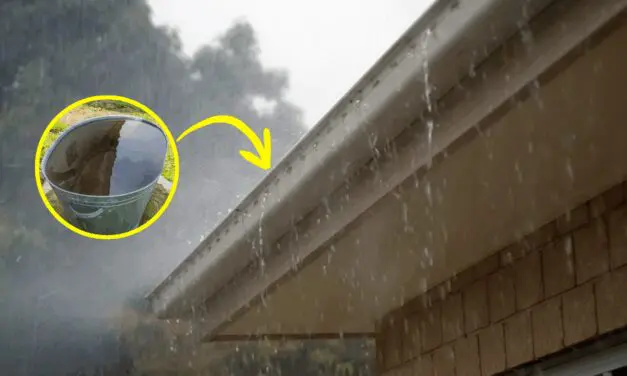 How to Harvest 1000+ Gallons of Water from Your Roof