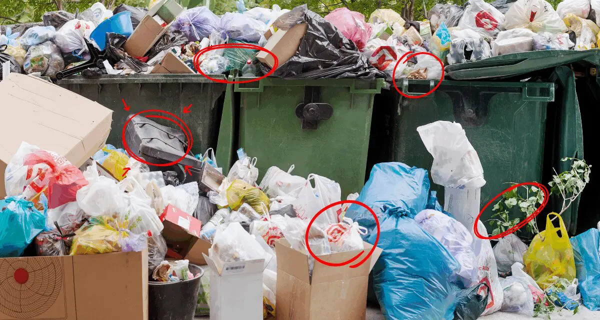 Why Are You Still Throwing THIS Away?