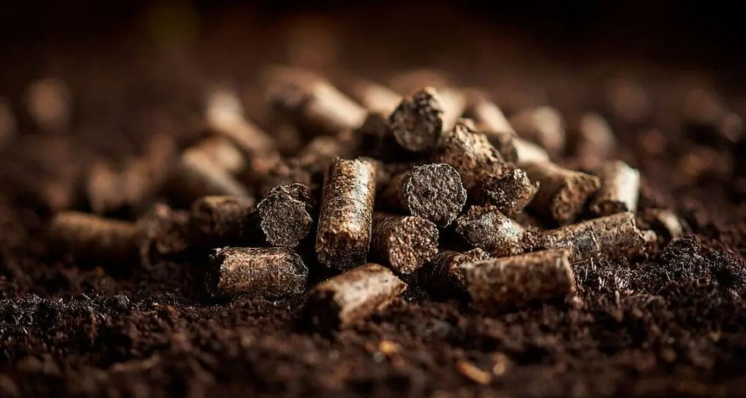 Is Rabbit Manure a Good Fertilizer?