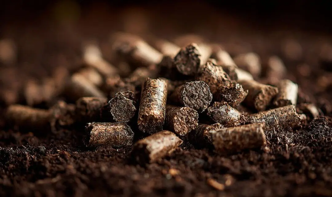 Is Rabbit Manure a Good Fertilizer?