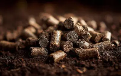 Is Rabbit Manure a Good Fertilizer?