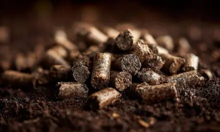 Is Rabbit Manure a Good Fertilizer?