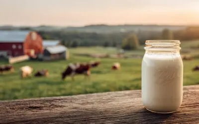 Why Do Amish Drink Raw Milk?