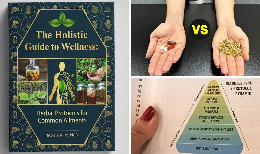 The Holistic Guide to Wellness: Herbal Protocols for Common Ailments Book Review