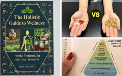 The Holistic Guide to Wellness: Herbal Protocols for Common Ailments Book Review