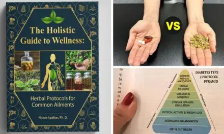 The Holistic Guide to Wellness: Herbal Protocols for Common Ailments Book Review