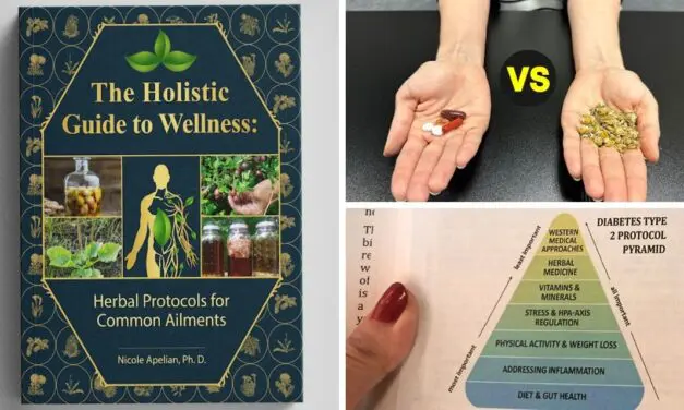 The Holistic Guide to Wellness: Herbal Protocols for Common Ailments Book Review