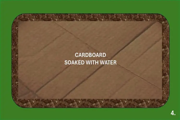 cardboard soaked with water