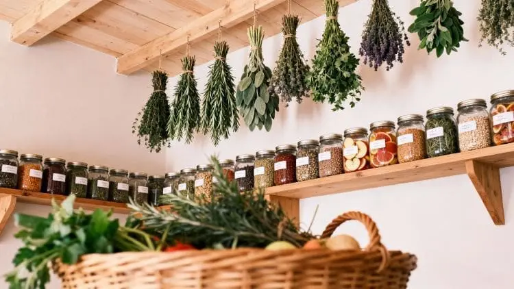 hanging dried herbs