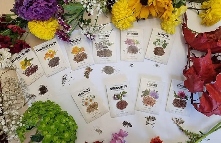medicinal garden kit