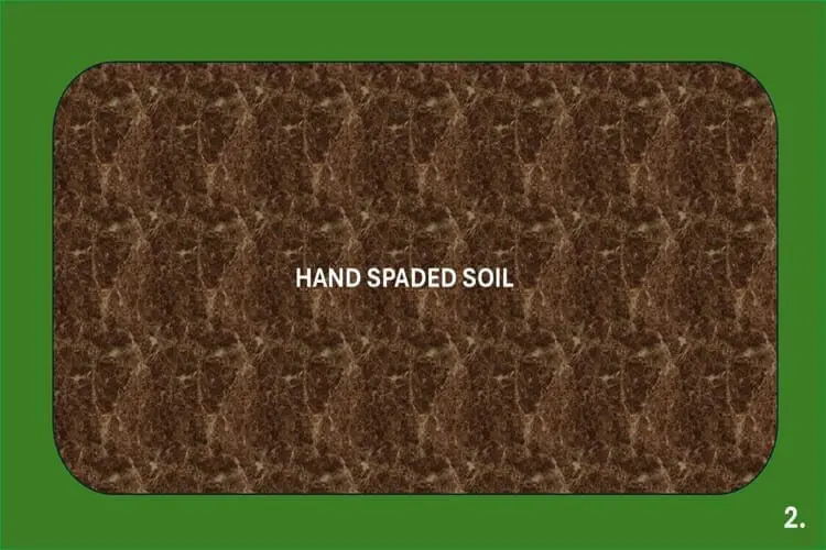 turn the soil