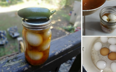 Cowboy Candy Pickled Eggs