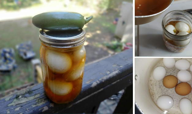 Cowboy Candy Pickled Eggs