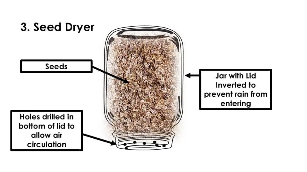 JAR SEED DRYER