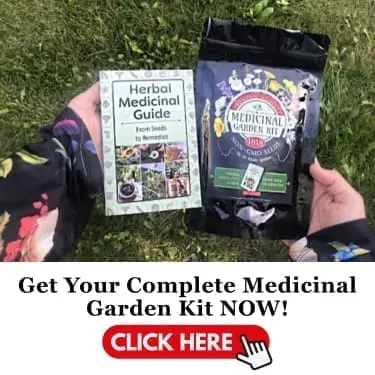 your medicinal garden kit