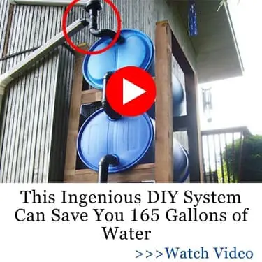 DIY System Can Save You 165 Gallons of Water NGP