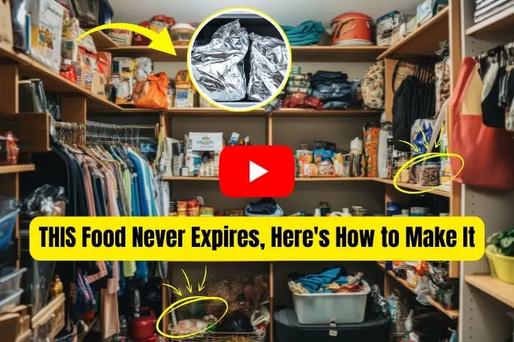 LSF this food never expires
