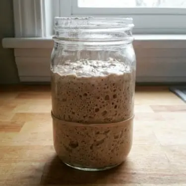 Off-Grid Sourdough 