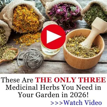they only three herbs 2026 MK