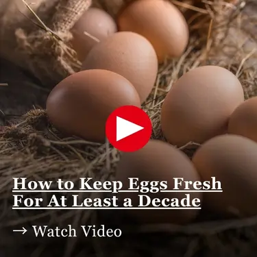 Brown eggs resting in straw with a red play button overlay and text that reads, “How to Keep Eggs Fresh For At Least a Decade Watch Video.
