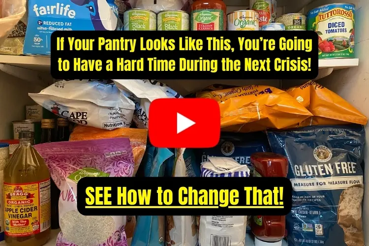If Your Pantry Looks Like This, You’re Going to Have a Hard Time During the Next Crisis BIG