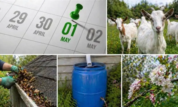 What May Says About Your Homestead