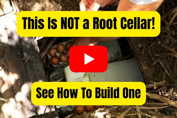 this is not a root cellar AWBA rustic underground Amish-style fridge built into the dirt, with a wooden lid pulled open to reveal eggs, milk, jars, and preserved food stored inside while a person reaches in by hand.