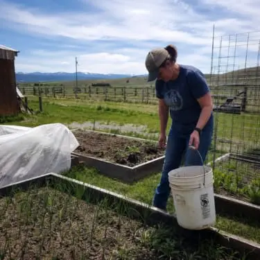 A person works in a raised-bed garden on a rural Idaho homestead, holding a white bucket while tending young plants. Wooden fencing, a small shed, wire trellises, open fields, and distant mountains are visible in the bright daylight background.