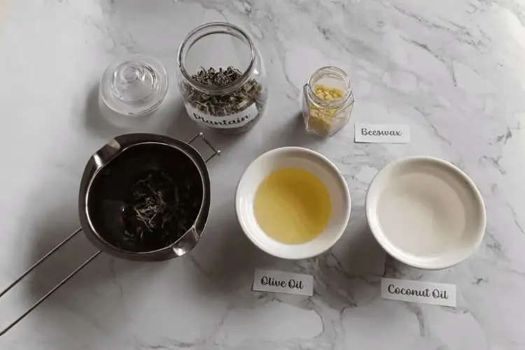 insect bite salve