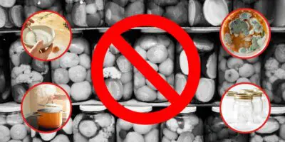 10 Fermentation Mistakes That Will Ruin the Whole Batch