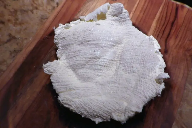 YOGURT FILTERED ON BOARD