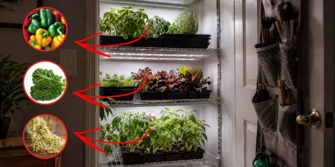 DIY Closet Farming Guide