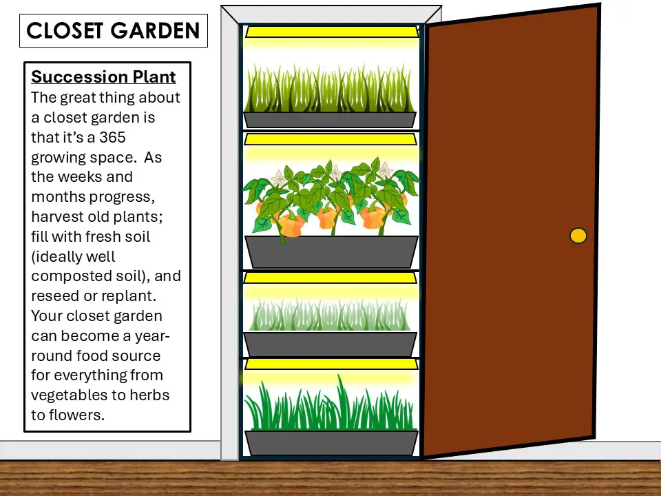 closet farming succesion planting