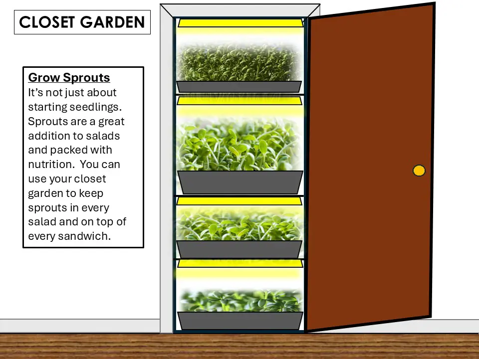 sprouts closet farming