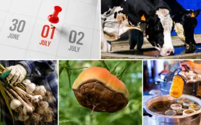 What July Says About Your Homestead