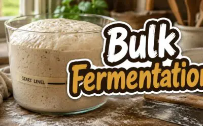 Bulk Fermentation: The Complete Homesteader’s Guide to Getting It Right Every Time