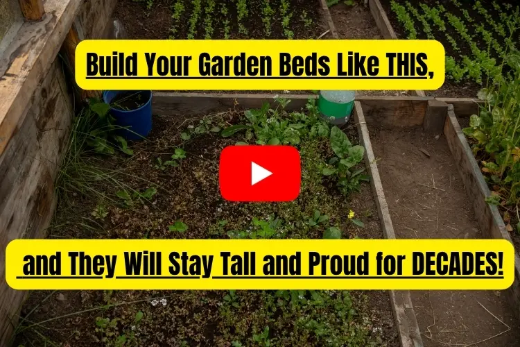 Build Your Garden Beds Like THIS, and They Will Stay Tall and Proud for DECADES! NGP photo of special garden bed