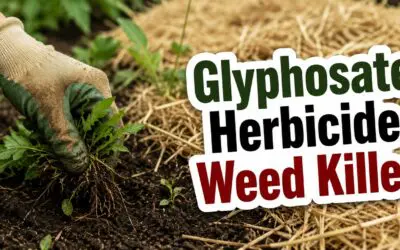Glyphosate Herbicide Weed Killer – What You Need to Know