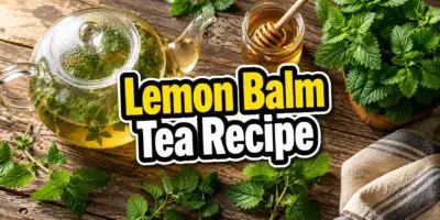 lemon balm tea recipe