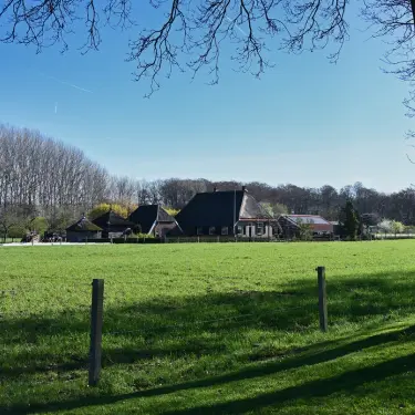 picture of a beautiful lawn