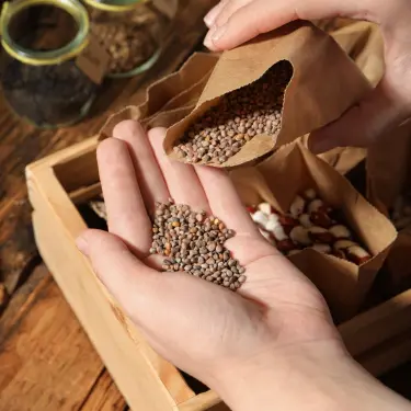 seed stockpile photo