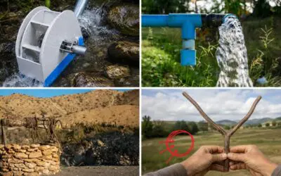 7 Old-Fashioned Ways to Find Water on Your Land