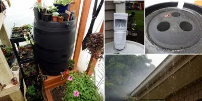 How to Build a DIY Rainwater Collector cover