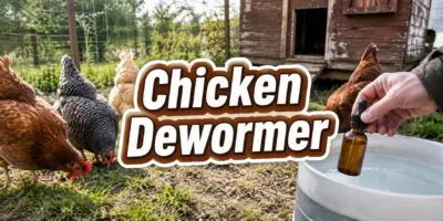 chicken dewormer