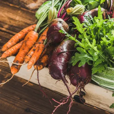 carrots and beets