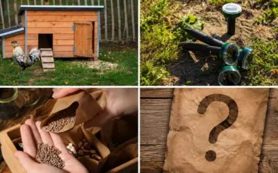 11 Scam Items Homesteaders Fall For