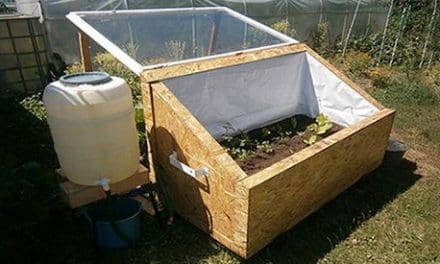 DIY Mini Greenhouse For Year-Round Vegetables