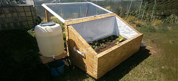 DIY Mini Greenhouse For Year-Round Vegetables